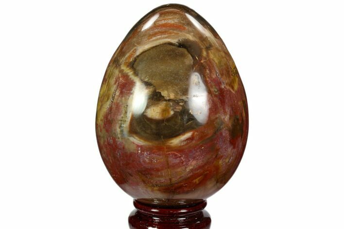 Colorful, Polished Petrified Wood Egg - Triassic #107395